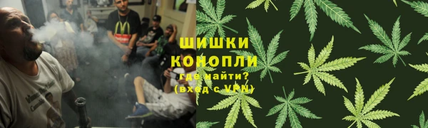 дмт Абаза
