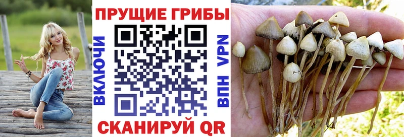 как найти закладки  Галич  Галлюциногенные грибы ЛСД 